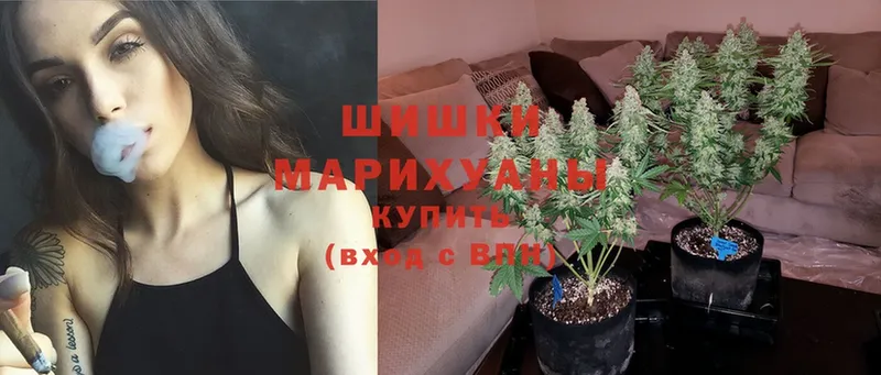 Шишки марихуана Ganja  купить наркотики цена  Высоцк 